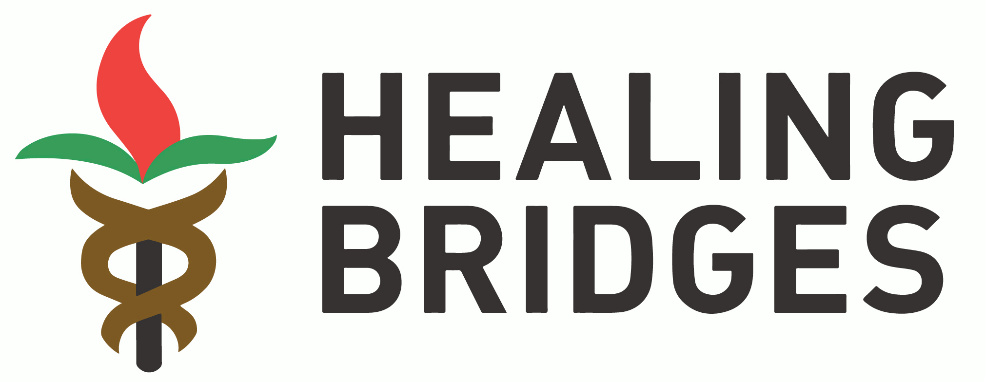 Healing Bridges